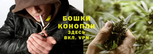 дмт Козельск