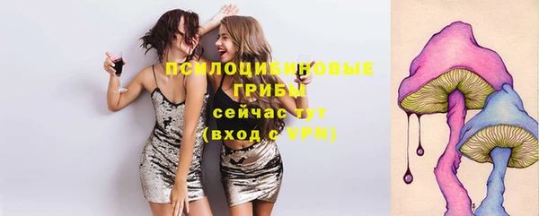 дмт Козельск