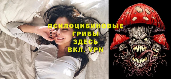 дмт Козельск