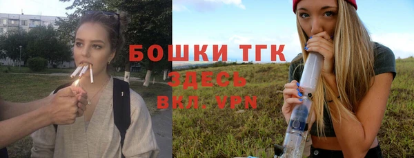 дмт Козельск