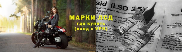 дмт Козельск