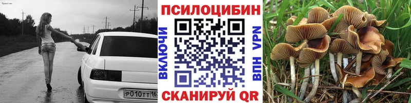 Купить где  Тамбов  Галлюциногенные грибы мухоморы 